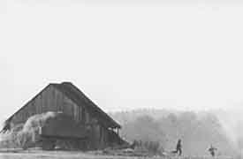 Bild: Das Himbeerfeld