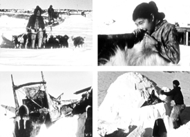 Inuit