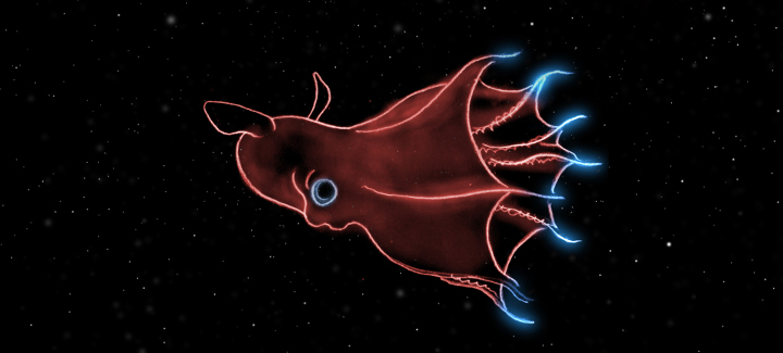 Inner Space: Eine Reise in die Tiefsee