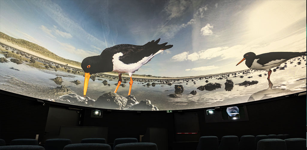 360 Grad Sylt – Insel im Weltnaturerbe Wattenmeer 360 Grad Sylt – Insel im Weltnaturerbe Wattenmeer