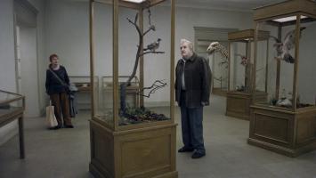 A pigeon Sat on a Branch, Pic 1