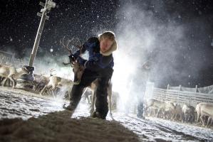 Sami Boy, Photo 1