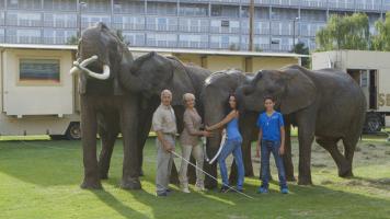The Circus Dynasty, Photo 1