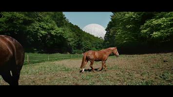 The Visit, Photo 3