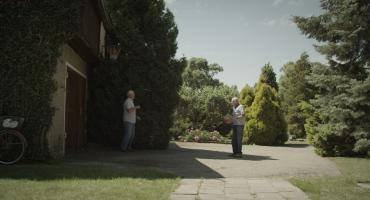 The Amateurs, Photo 2