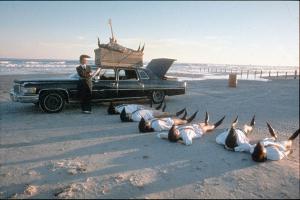 Leningrad Cowboys Go America, Pho 2