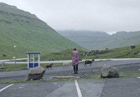 The Valley, Photo 1