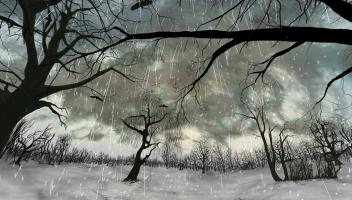 Februar, Photo 2