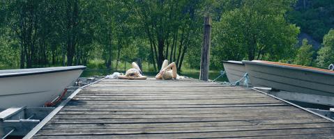 Camping with Ada, Photo 2
