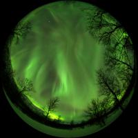 Life Under the Arctic Sky, Photo 1