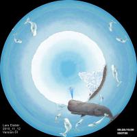 Lars, the Little Polar Bear, Photo 3