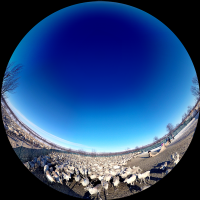 Life Under the Arctic Sky, Photo 2