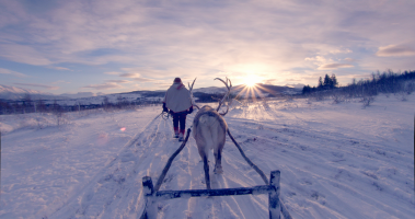 Life Under the Arctic Sky, Photo 3