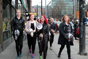 Hobbyhorse Revolution, Photo 2