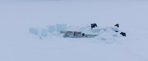Disappearance, Photo 2
