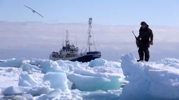 Sealers - One Last Hunt, Photo 1