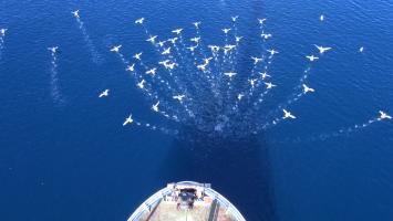 Sealers - One Last Hunt, Photo 2