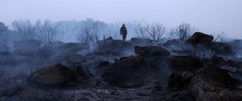 Life in Four Elements, Photo 1