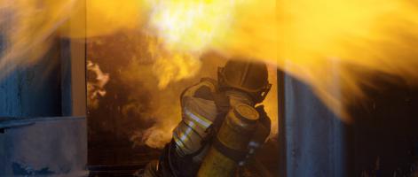 Life in Four Elements, Photo 2