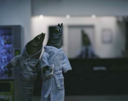 The Burden, Photo 2