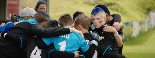 The Falcons, Photo 1