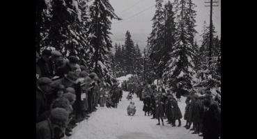Toboggan Race at Korketrekkeren - Photo1