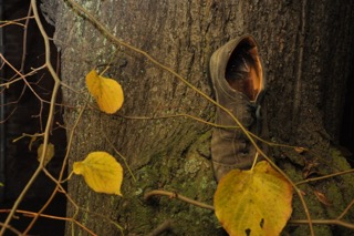 Nichts für zarte Gemüter. In „Dorf der verlorenen Jugend“ zelebrieren die Jugendliche die Suizide ihrer Freunde. Foto: Tobias Lehmann