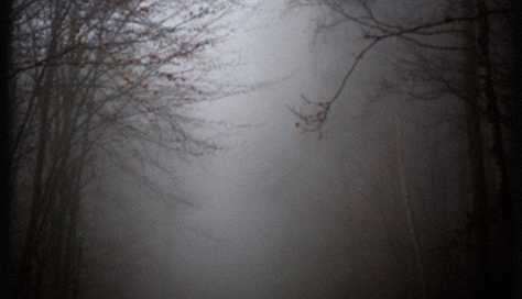 Dark Silence of Childhood