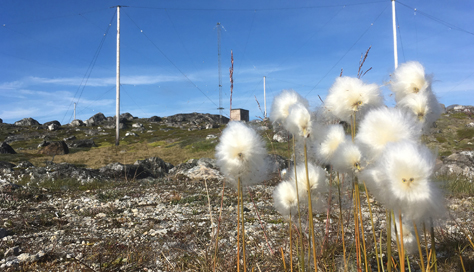 grønlandia - Inuuneqartitsisuuvoq kalaallit nunaat