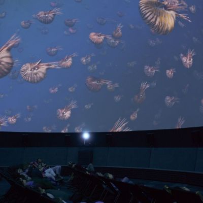 Vorstellung von "Die Legende des Zauberriffs" im InfinityDome © Nordische Filmtage Lübeck / Christine Rudolf
