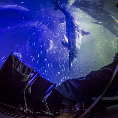 Liveshow: Sounds of the Ocean im InfinityDome 