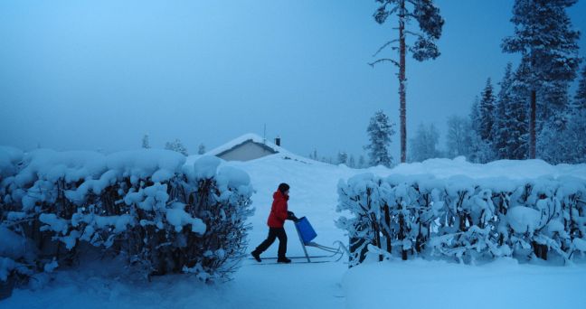 Eine Frau schiebt mittig im Bild zwischen zwei Hecken einen Tretschlitten durch den Schnee