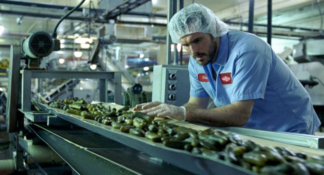 Hank kontrolliert Essiggurken in der Fabrik