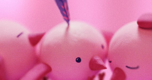 Nahaufnahme von tröstenden und kuschelnden Vögeln