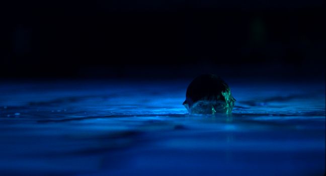 Odd Horten schwimmt bis zur Nase im Wasser