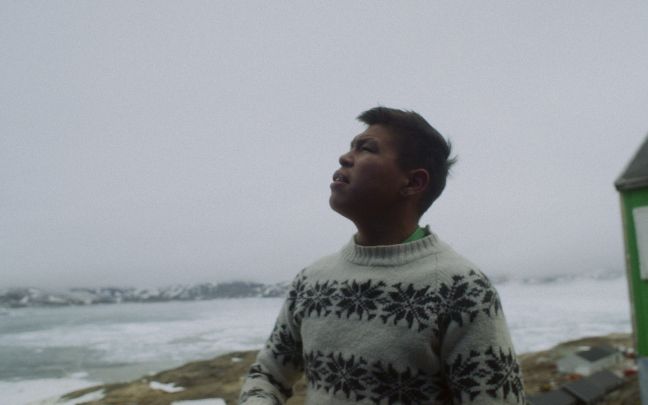 Kaali guckt in die Ferne, im Hintergrund das Meer