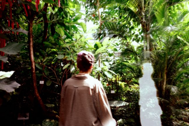 eine Person in einem Palmenhaus, ein weißer Schatten
