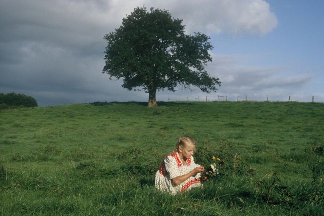 Ilse pflückt Blumen auf einer Wiese mit einem großen Baum
