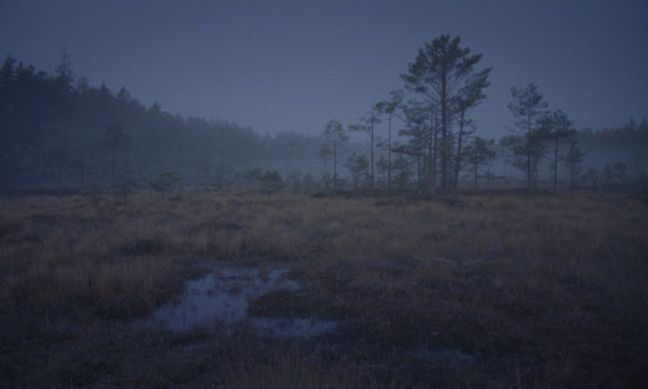 Im Dunkel ein Torffeld mit Wasserlache