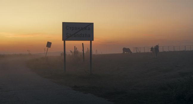 Bei Sonnenaufgang stehen Kühe neben der Straße mit dem Schild, dass Strandzha verlassen wird