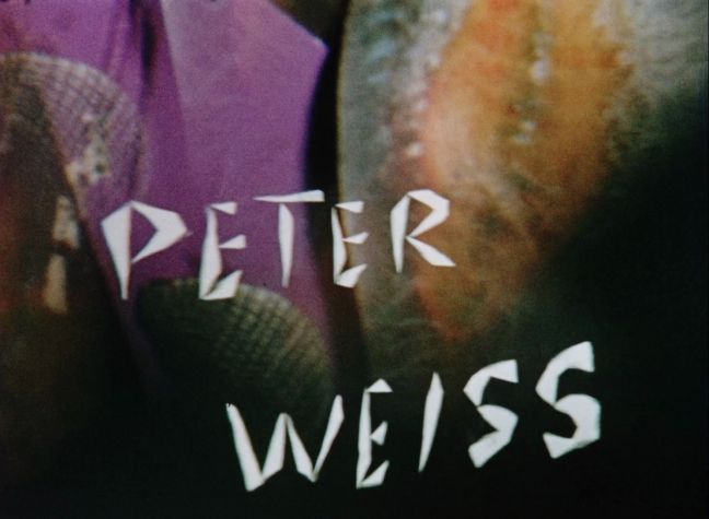 „Peter Weiss"-Schriftzug