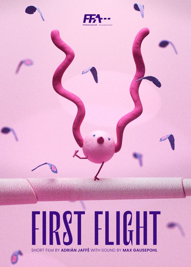 Filmplakat Flugversuche