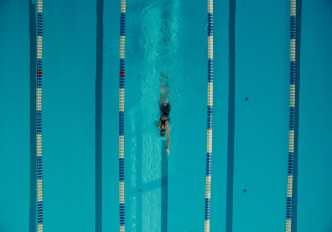 Aufnahme von oben, Zane schwimmt