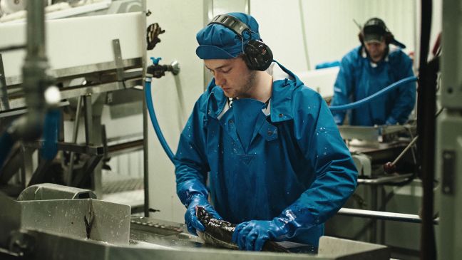 Karí arbeitet in der Fischfabrik