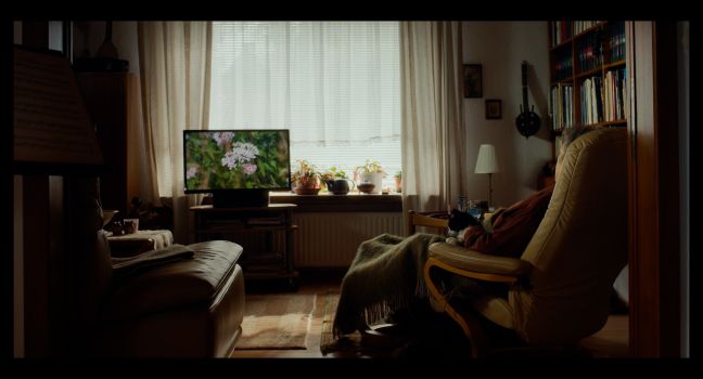 Dagmars Wohnzimmer, links der laufende Fernseher, rechts das Bücherregal und Dagmar im Sessel