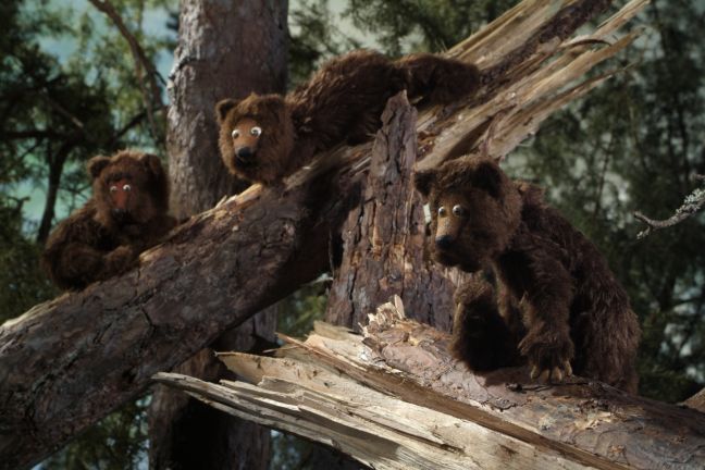 Drei Bären auf einem zerbrochenen Baumstamm im Wald