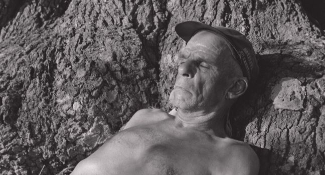 Karl-Göran liegt mit freiem Oberkörper und geschlossenen Augen an einem Baumstamm