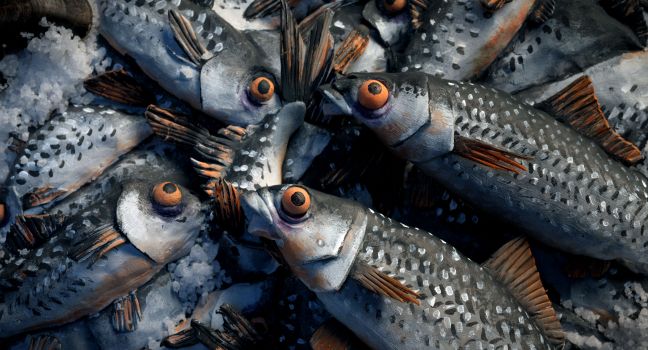 Viele Heringe mit orangen Augen liegen aufeinander