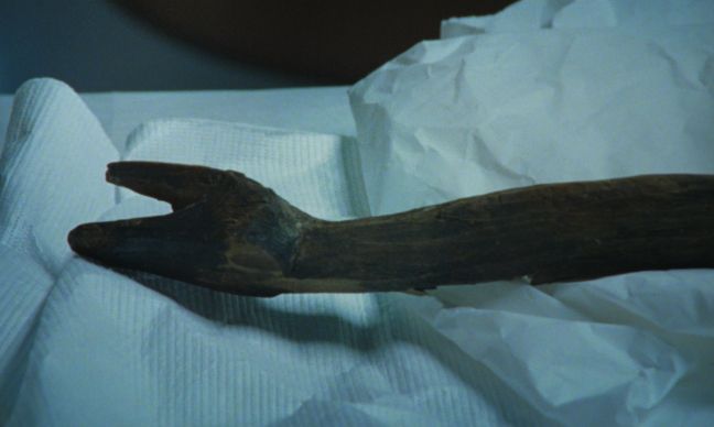 Ein Stock mit Y-Gabelung auf weißem Stoff