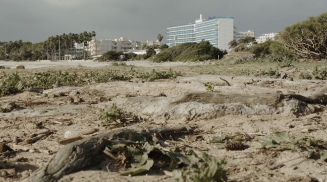 Der Strand von Sa Coma, Mallorca, Unebenheiten Gewächs und Wurzeln, im Hintergrund eine Hotelanlage